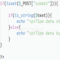 Membuat Fungsi Pengecekan Tipe Data String Di Dalam PHP