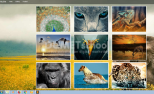 Cara Membuat Slide Show Dengan jQuery Part 1