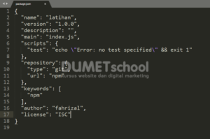 install modul npm1