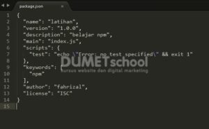mengenal npm 5