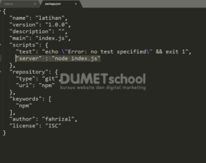 menjelankan file javascript pada server dengan npm 2