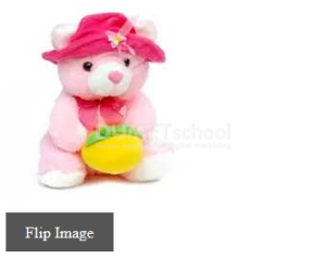 Cara Membuat Image Flip dengan jQuery CSS