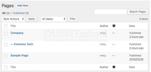 Cara Membuat Halaman Child di WordPress
