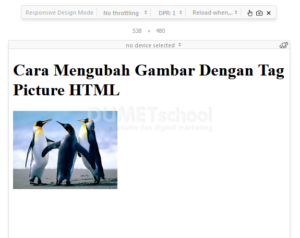 Cara Mengubah Gambar Dengan Tag Picture HTML