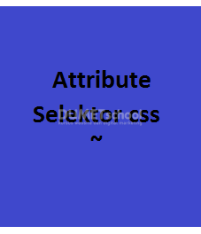Cara Menggunakan Selektor Attribute ~ Di CSS