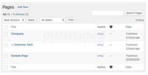 Cara Membuat Halaman Child di WordPress