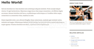 Cara Menambahkan Gambar di Sidebar WordPress_3
