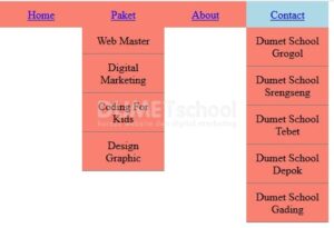 Cara Membuat Dropdown Menu Dengan AngularJs