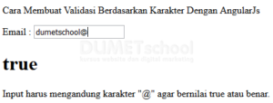 Cara Membuat Validasi Berdasarkan Karakter Dengan AngularJs