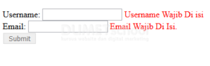 Cara Membuat Validasi Menggunakan Form State Pada AngularJs