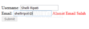 Cara Membuat Validasi Menggunakan Form State Pada AngularJs