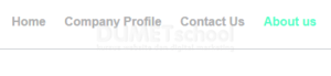 menu responsive-checkbox