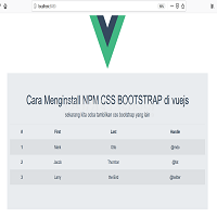 Cara Menginstall NPM CSS Bootstrap di vuejs