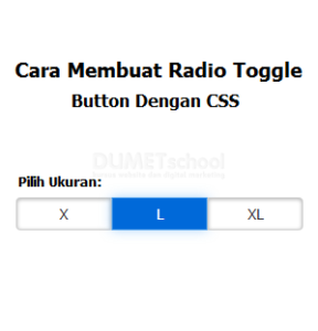 cara membuat radio toggle button dengan css