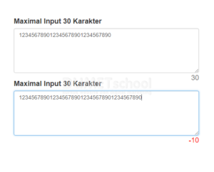 hasil-tampilanya-saat-input-diisi