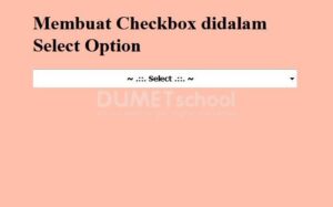 1-Membuat Checkbox didalam Select Option