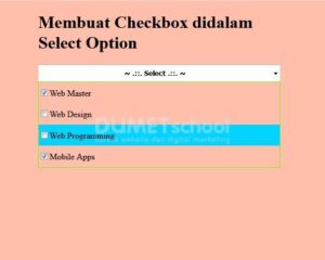 2-Membuat Checkbox didalam Select Option