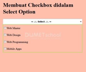 3-Membuat Checkbox didalam Select Option