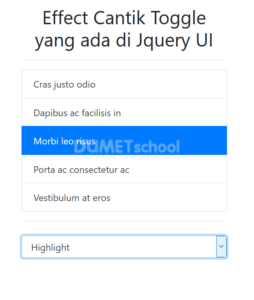 kumpulan effect cantik toggle yang ada di Jquery UI
