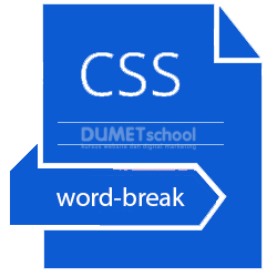 Cara Menggunakan Word-Break Property CSS
