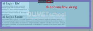 Fungsi box-sizing di CSS dan Cara Menggunakannya