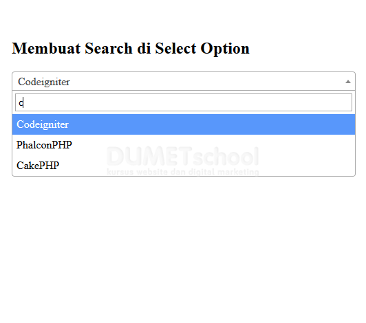 Cara Membuat Search didalam Select Options