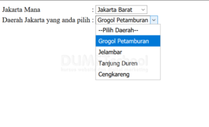 cara menampilkan data select option Ajax