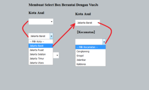 Cara Membuat Select Box Berantai Dengan VueJs