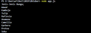 cara menggunakan dan menginstall Nodejs