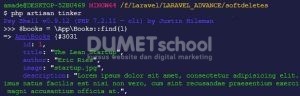Bagaimana Cara Menggunakan Soft Delete DI laravel
