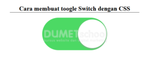 Cara membuat toogle Switch dengan CSS