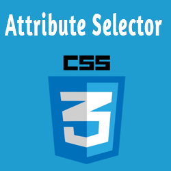 Cara Penggunaan Attribute Selector Pada CSS