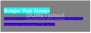 cara-menggunakan-property-selection-css-edi-280320