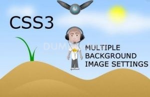 Kursus CSS Private Online