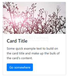 cara membuat sebuah card di bootstrap vue
