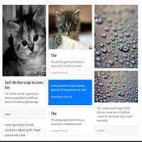 Cara Membuat Sebuah Card di Bootstrap Vue