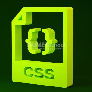 Pengertian, Cara Kerja dan Fungsi CSS dalam Website