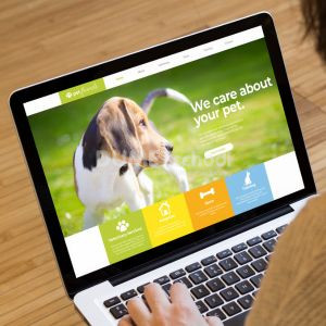 Perbedaan Website Statis dan Dinamis
