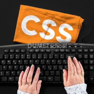 Apa Itu CSS? Cara Kerja dan Fungsinya dalam Website